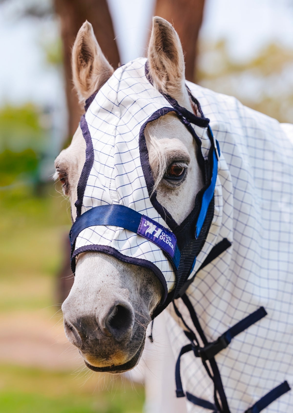 Pony Hood Holder $64