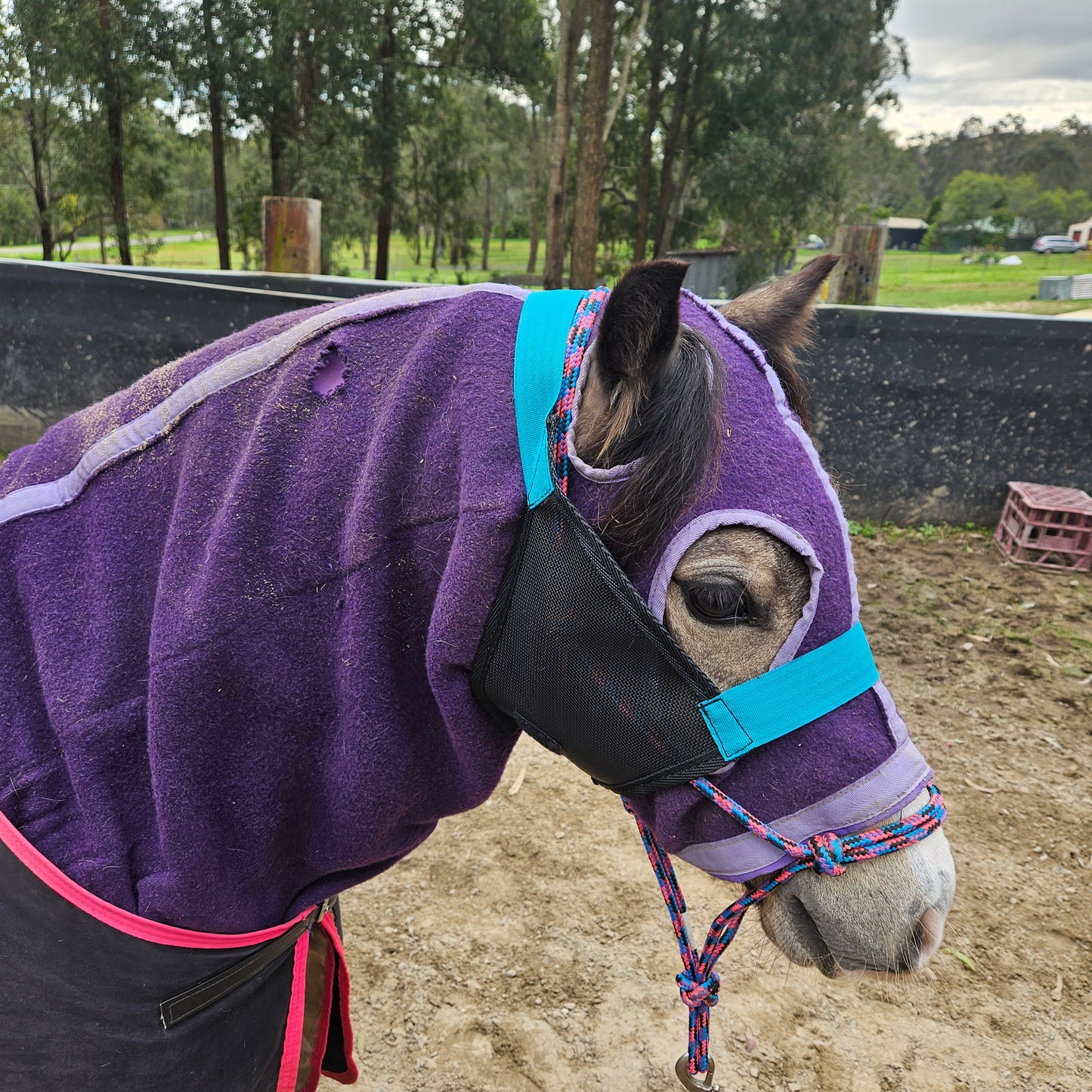 PONY Hood Holder$52