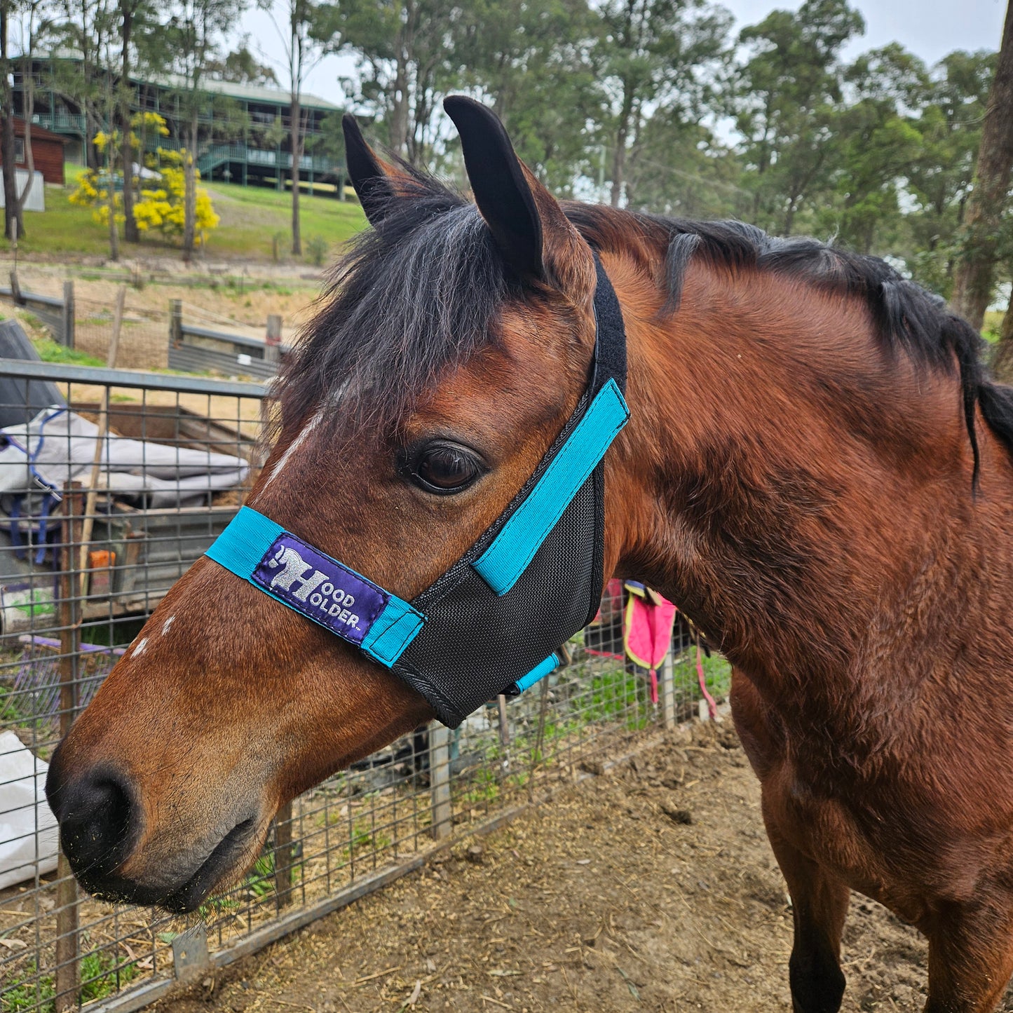 PONY Hood Holder$52