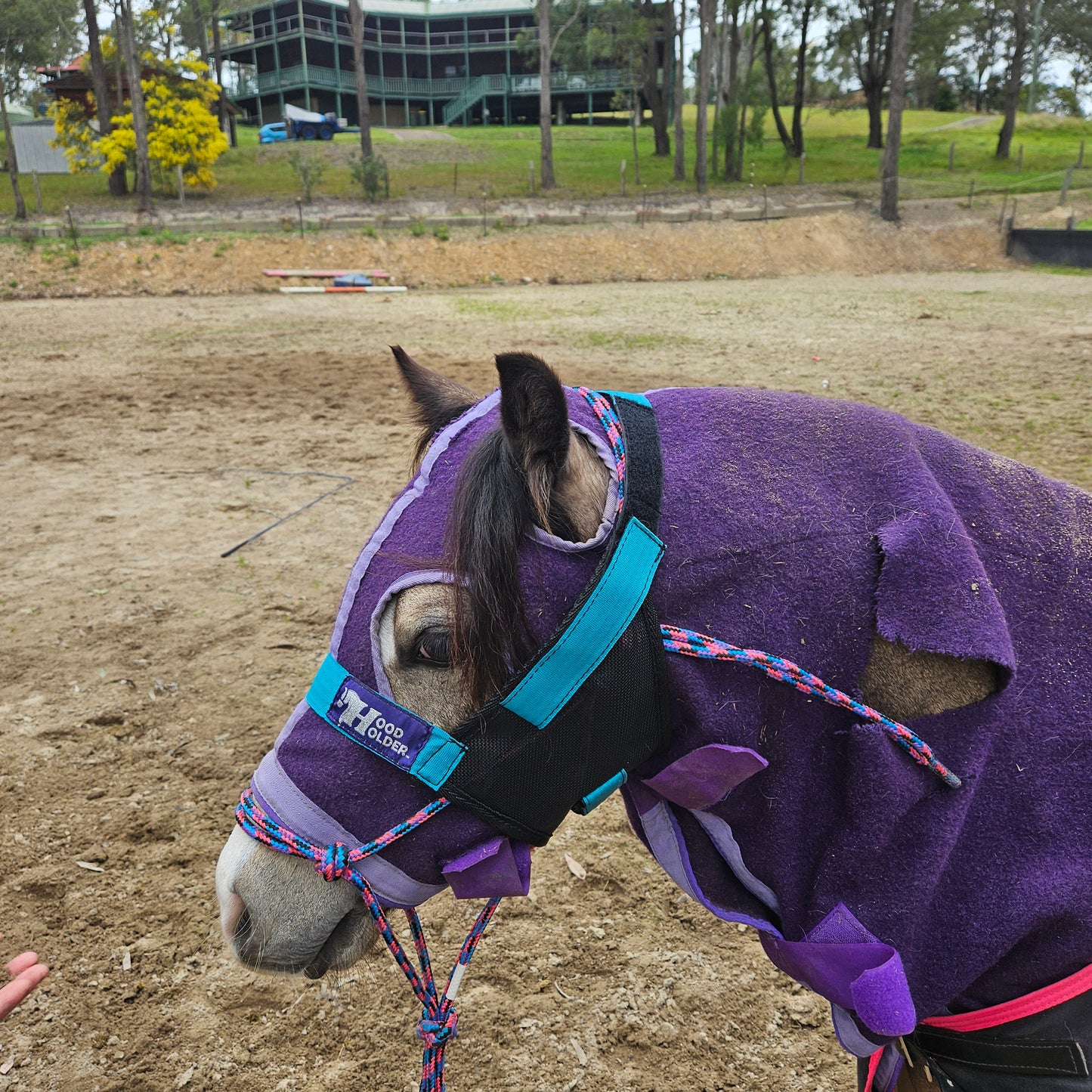 PONY Hood Holder$52
