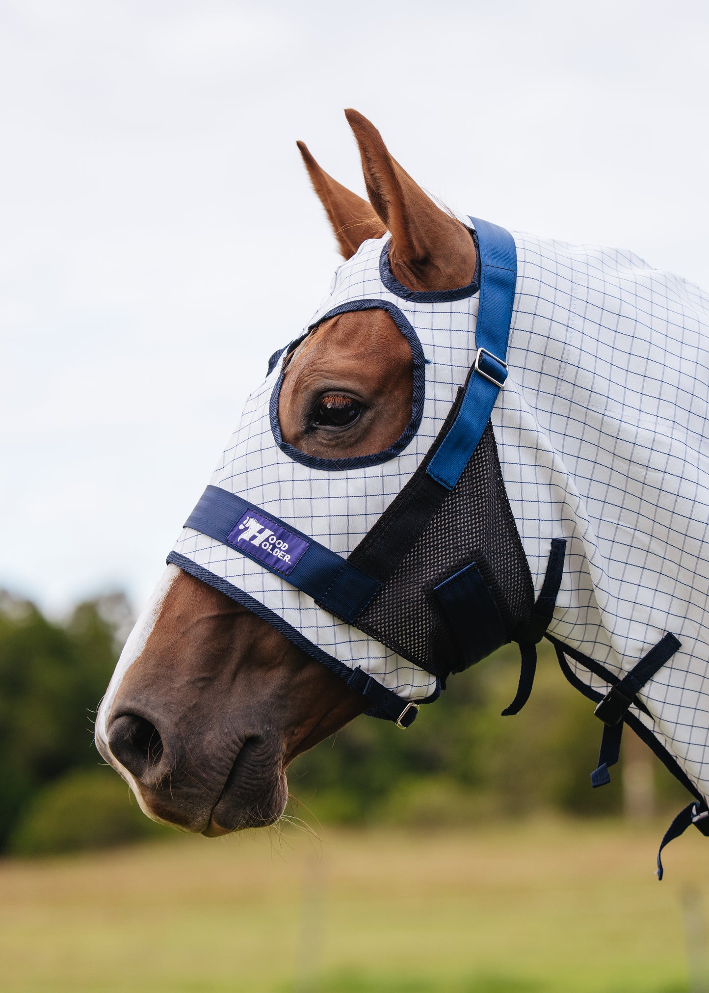 Build your HOOD HOLDER (Standard size)