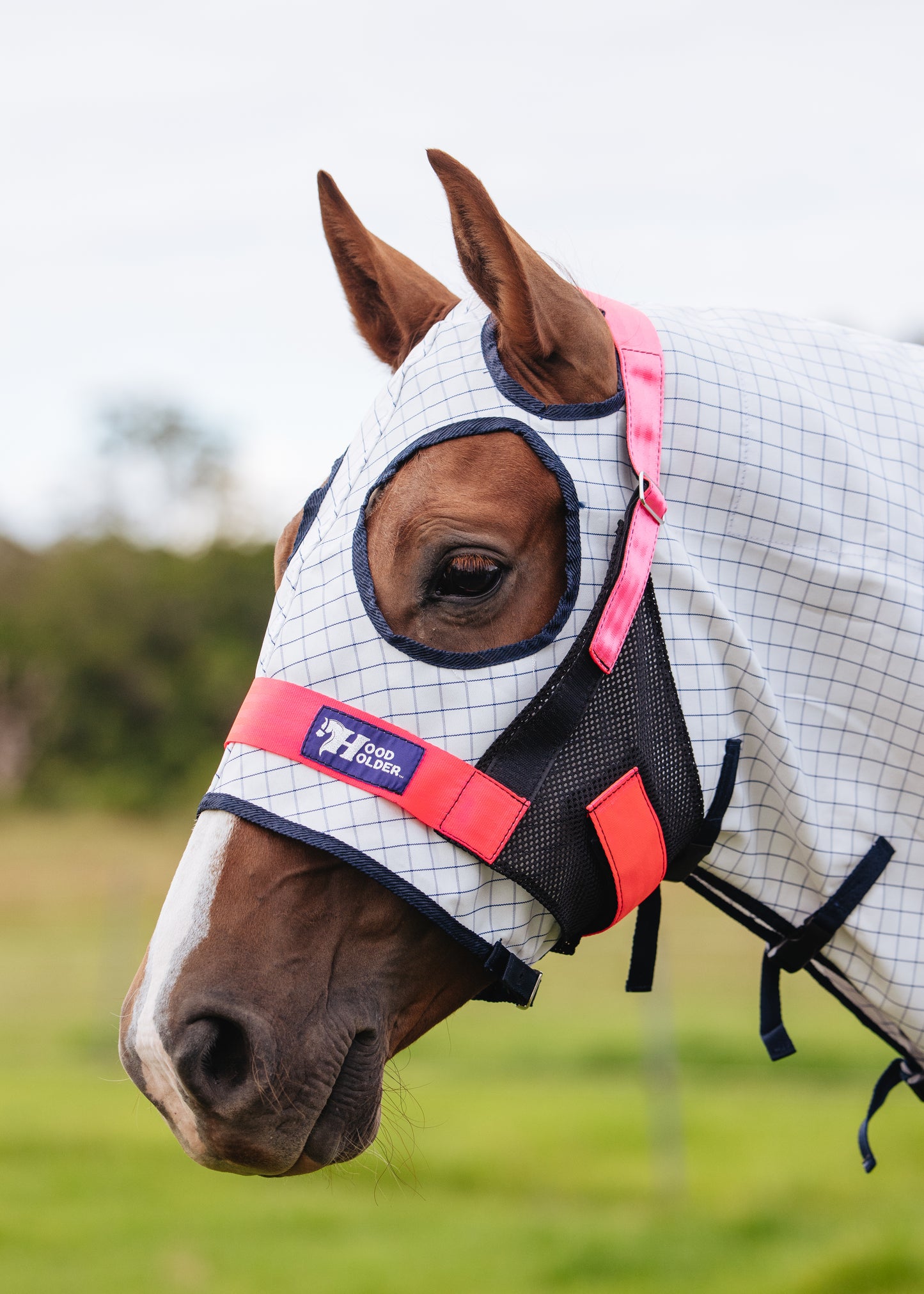 Build your HOOD HOLDER (Standard size)