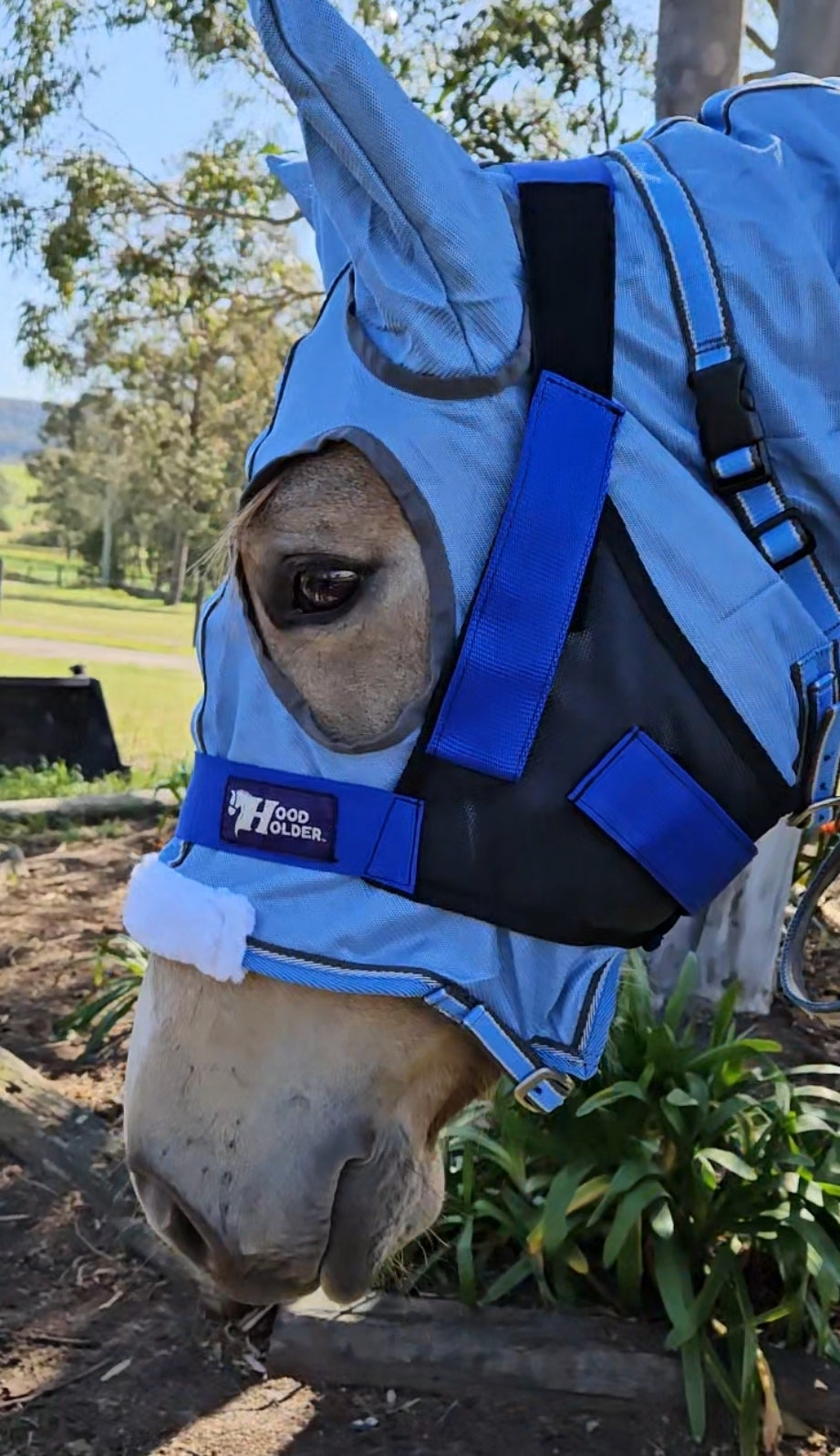 CLYDESDALE Hood Holder-$75