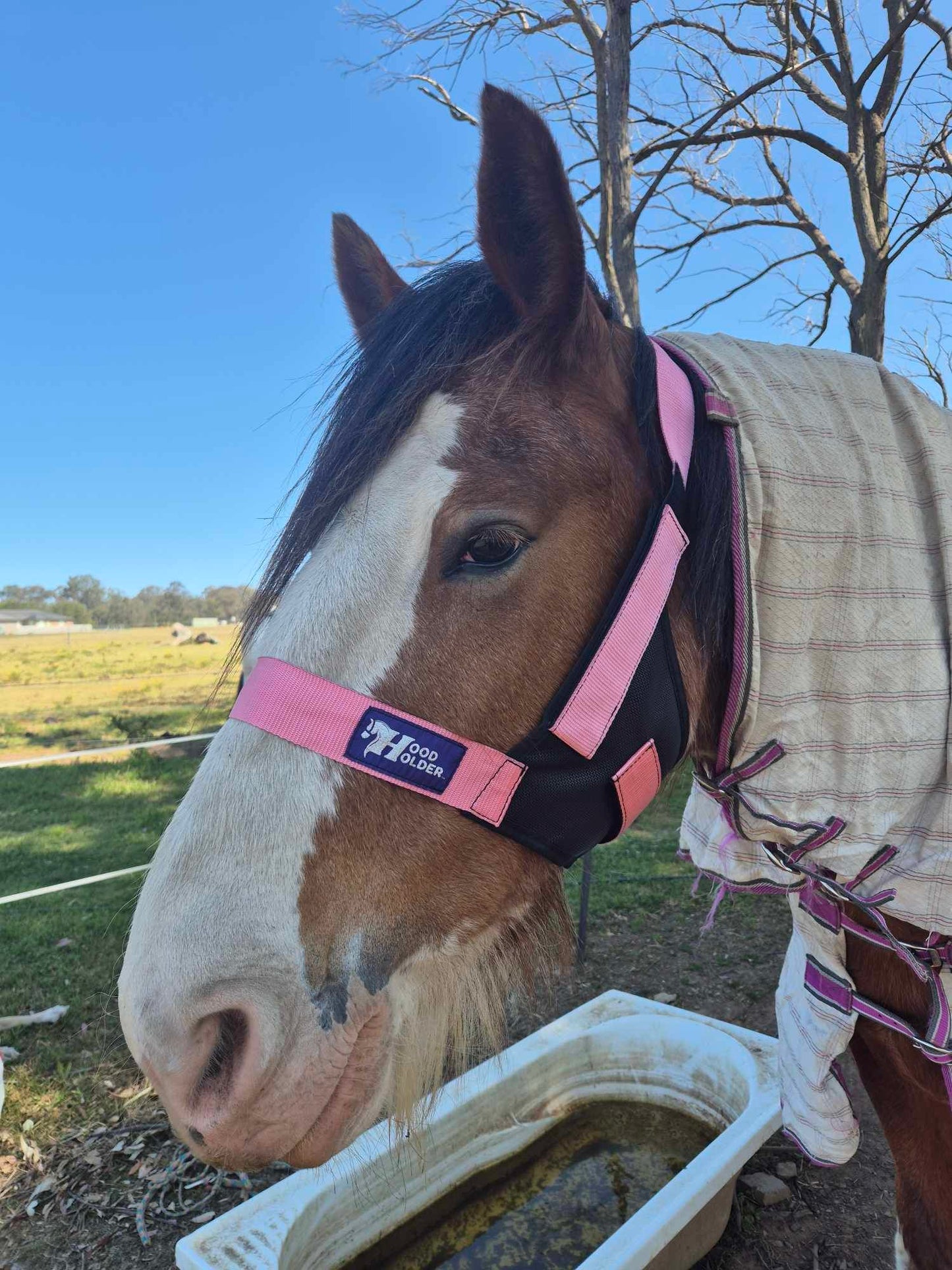 CLYDESDALE Hood Holder-$75