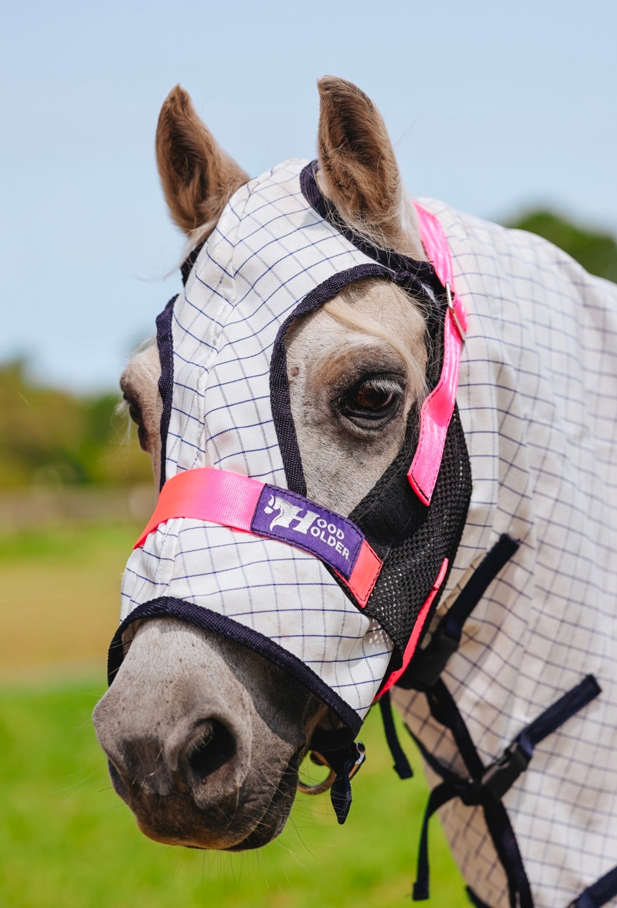 Pony Hood Holder $64