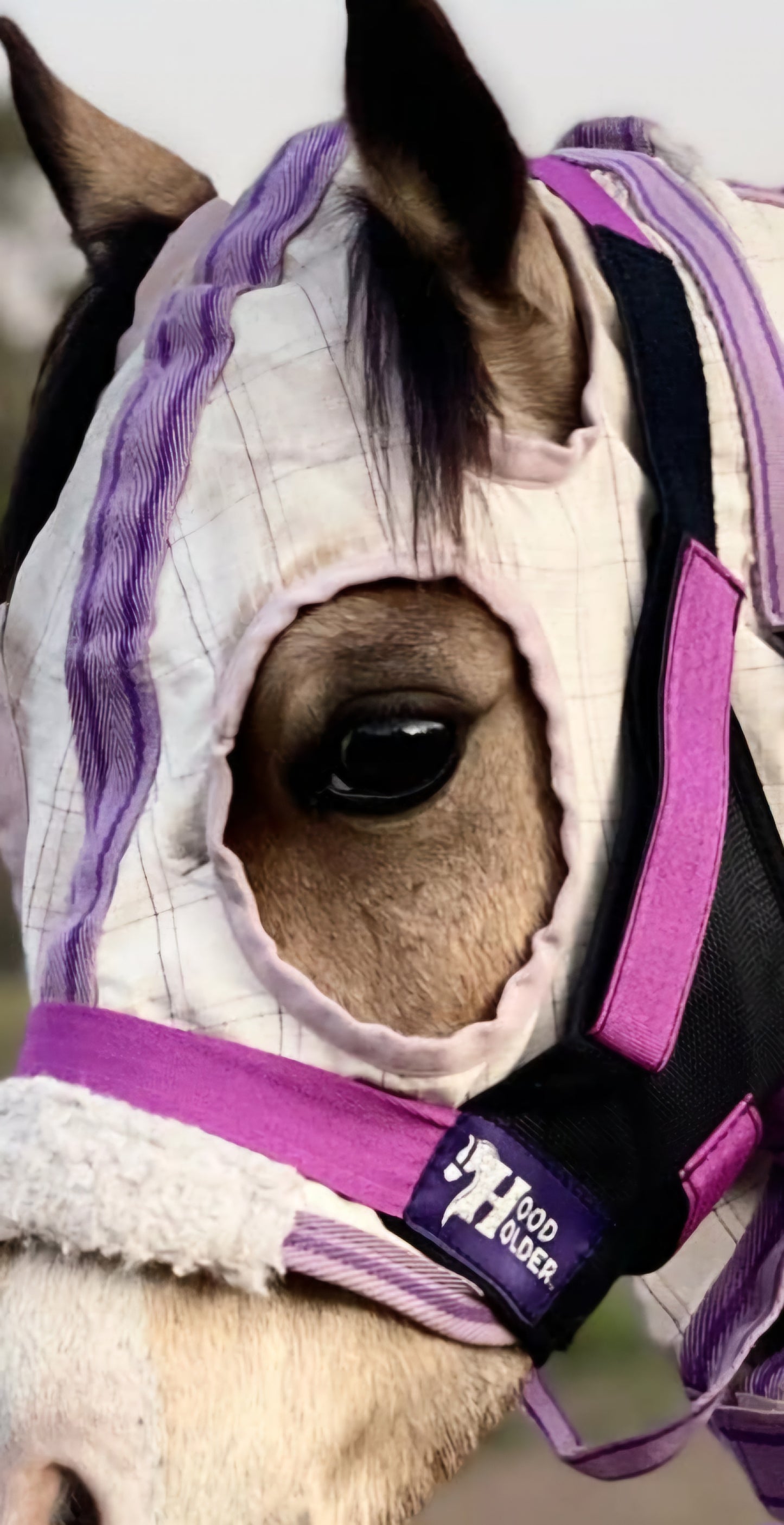 PONY Hood Holder$52