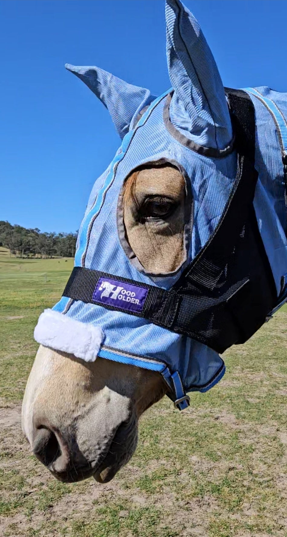 CLYDESDALE Hood Holder-$75