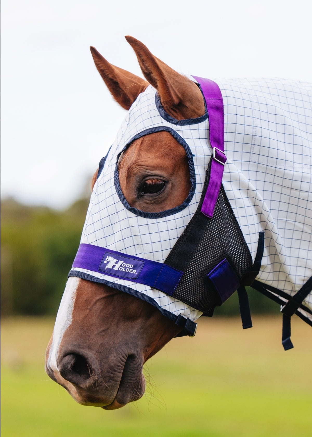 Hood Holder w/ fly mask attachment $102 (standard size only)