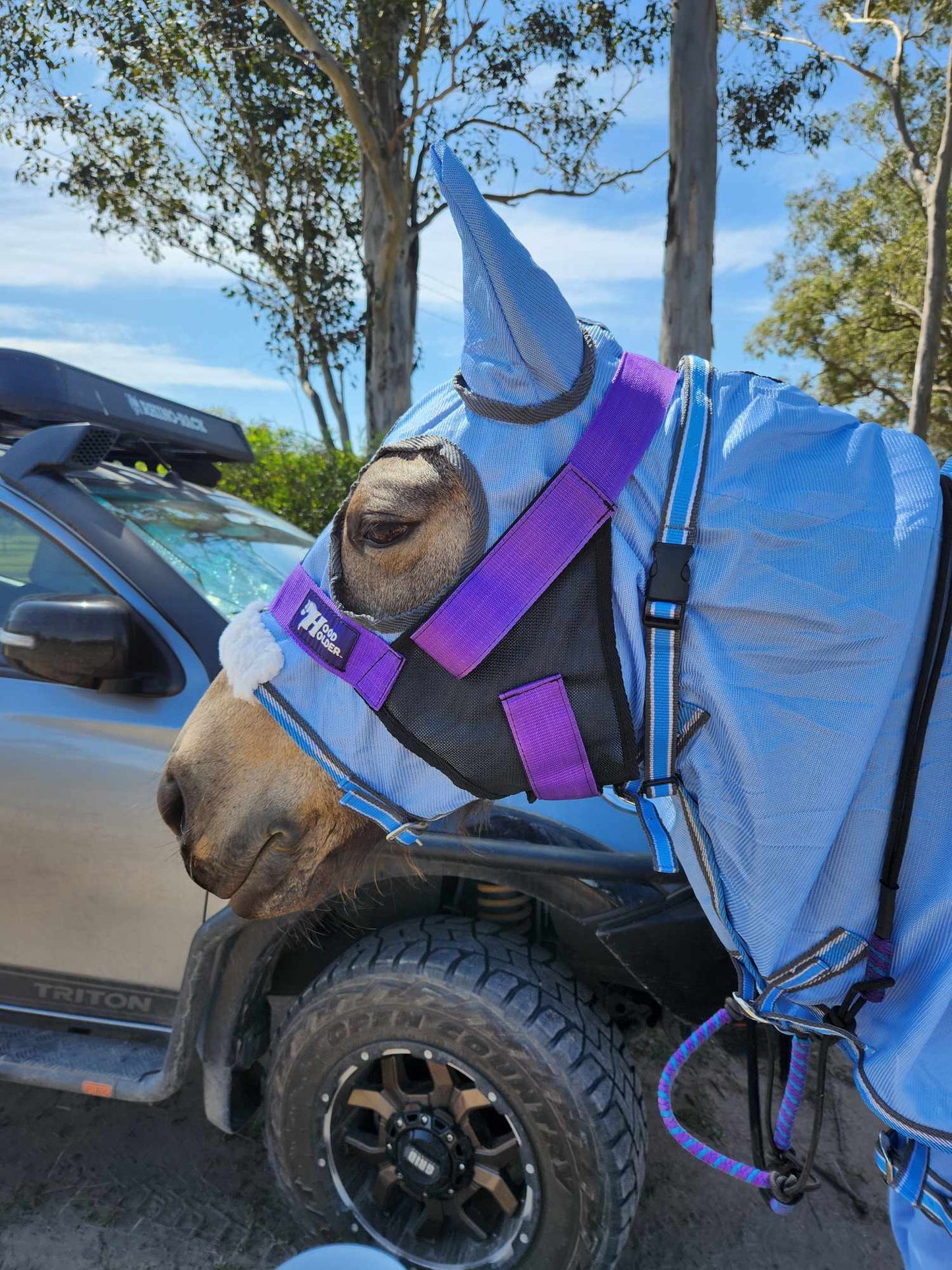 CLYDESDALE Hood Holder-$75