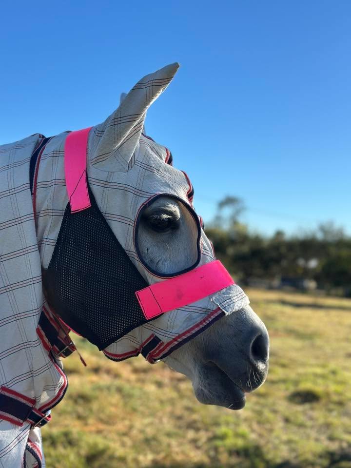 LARGE PONY Hood Holder -$62