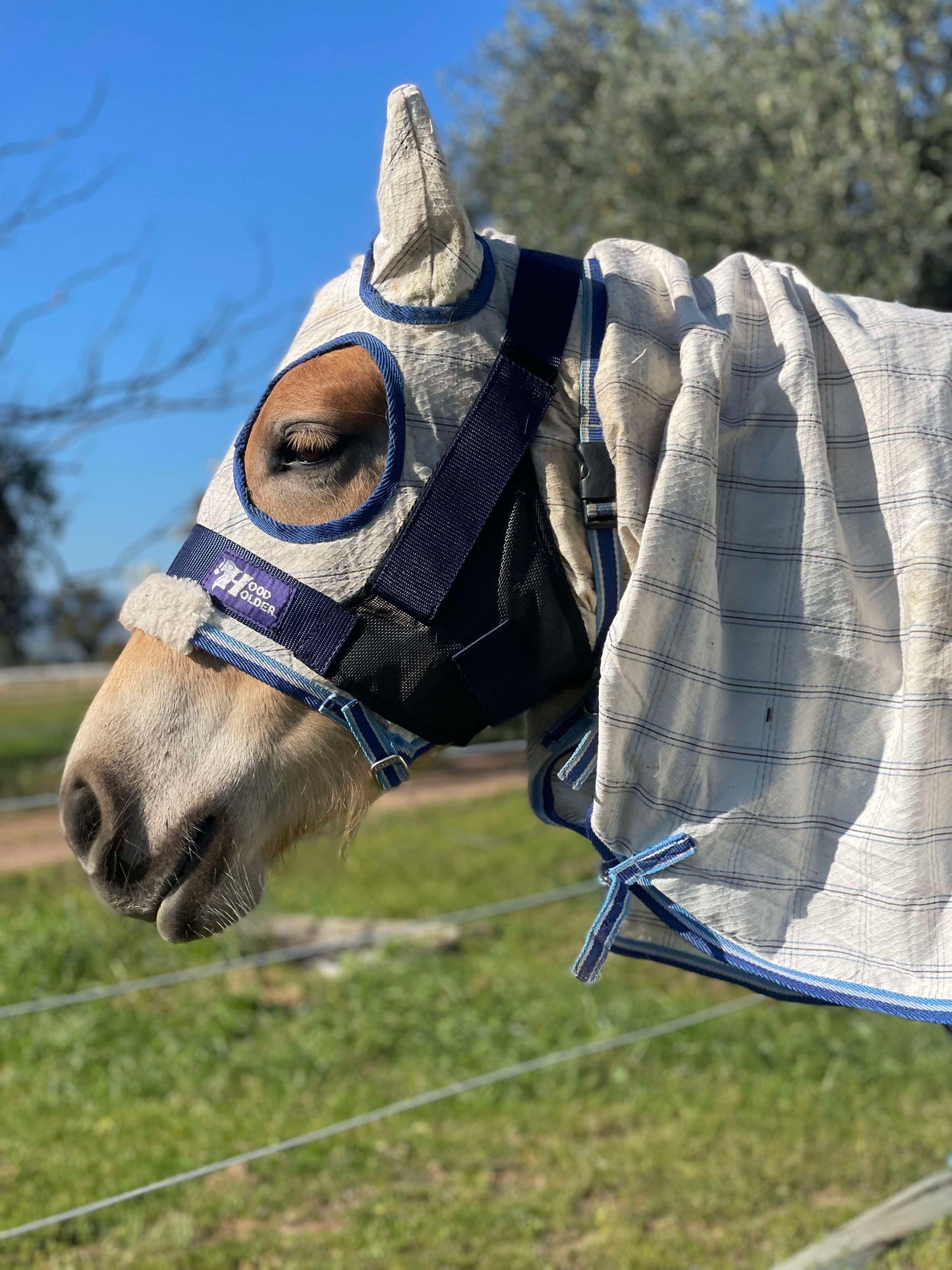 CLYDESDALE Hood Holder-$75