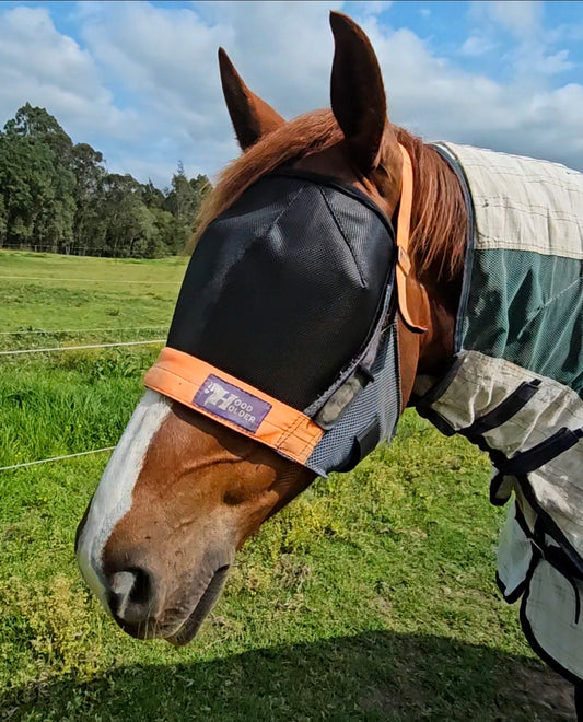 Hood Holder w/ fly mask attachment $102 (standard size only)